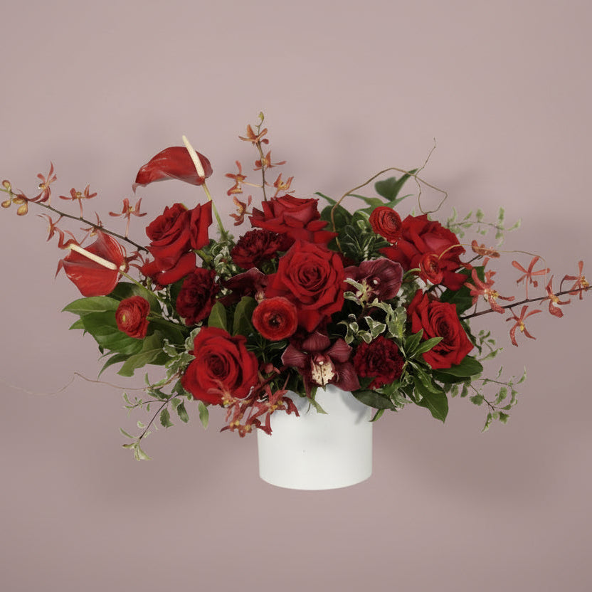 Romance Collection - Large