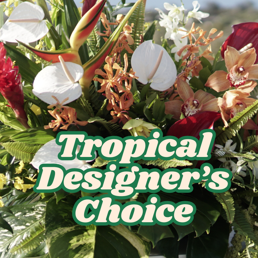 Tropical Designer's Choice - Choose Size
