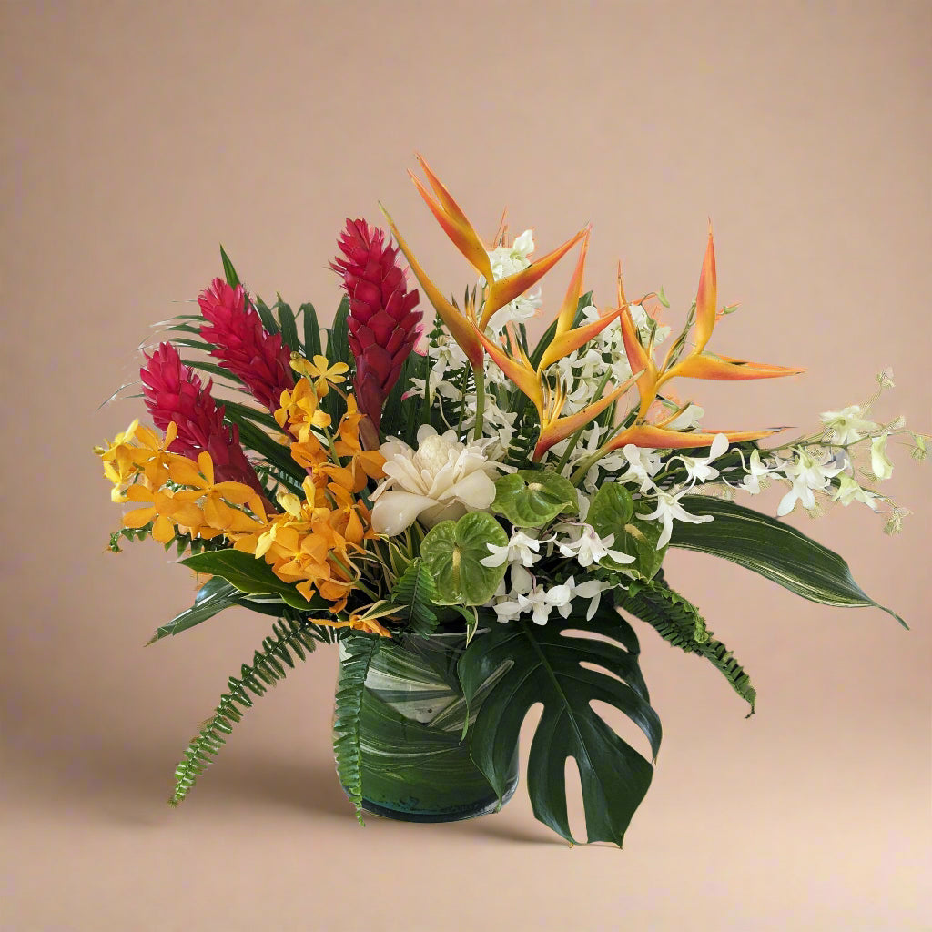 Classic Tropical - Large
