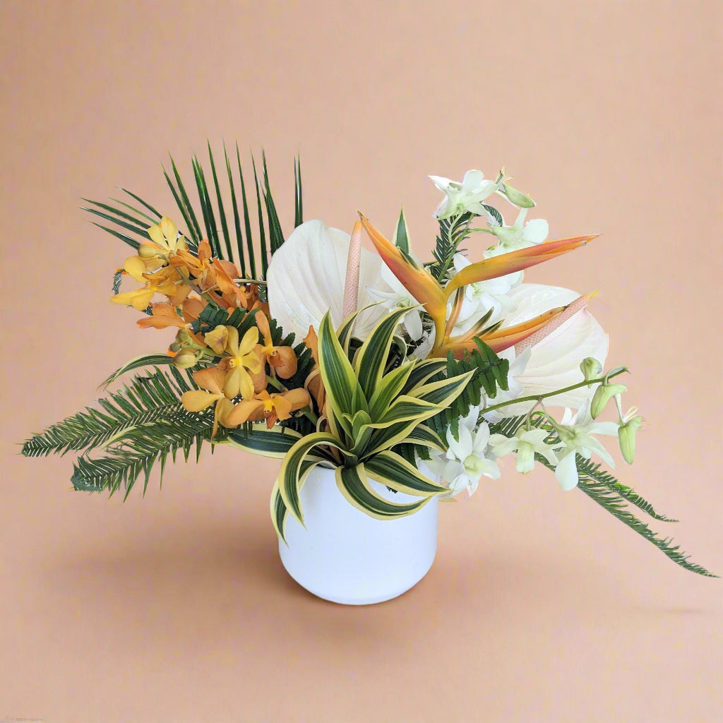 Classic Tropical - Medium