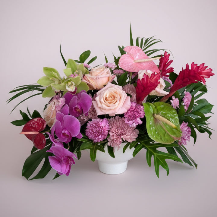 Tropical Romance Collection