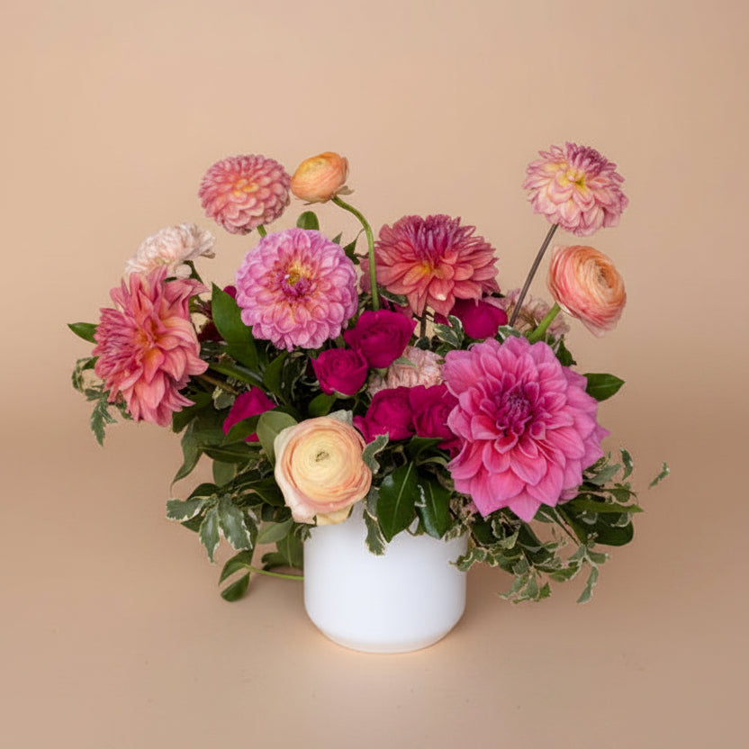 Joyful Collection - Standard