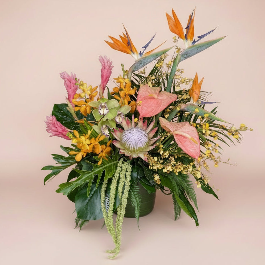 Colorful Tropical Collection - Premium (XL)