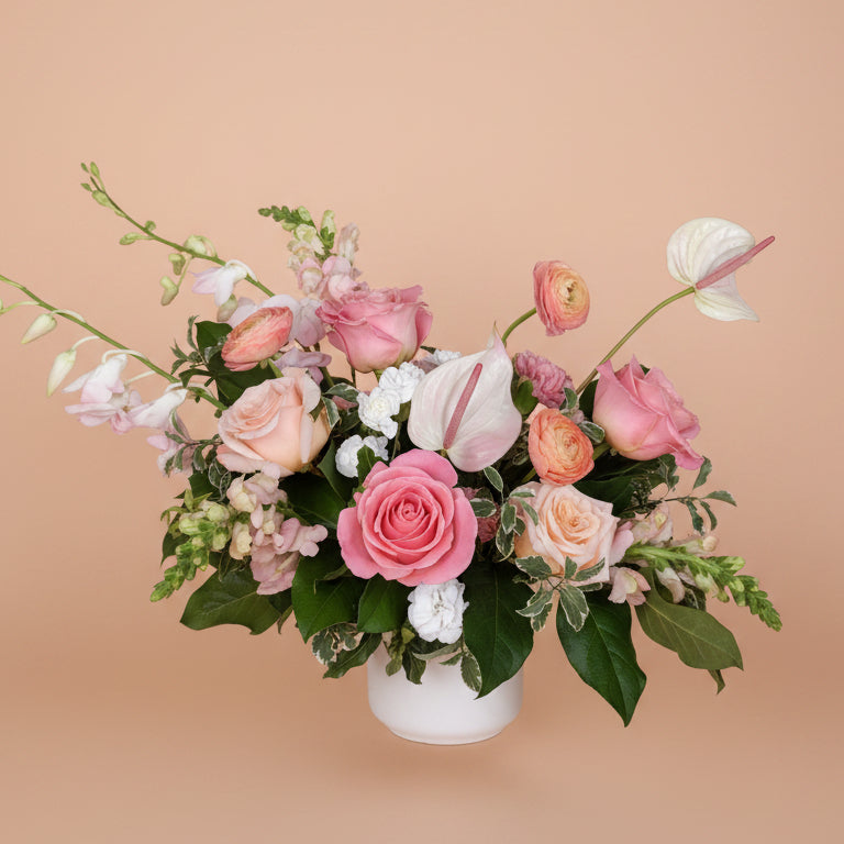 Peaches & Cream Collection - Standard