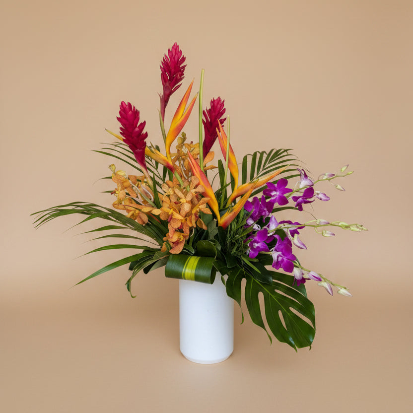 Paradise Collection - Standard