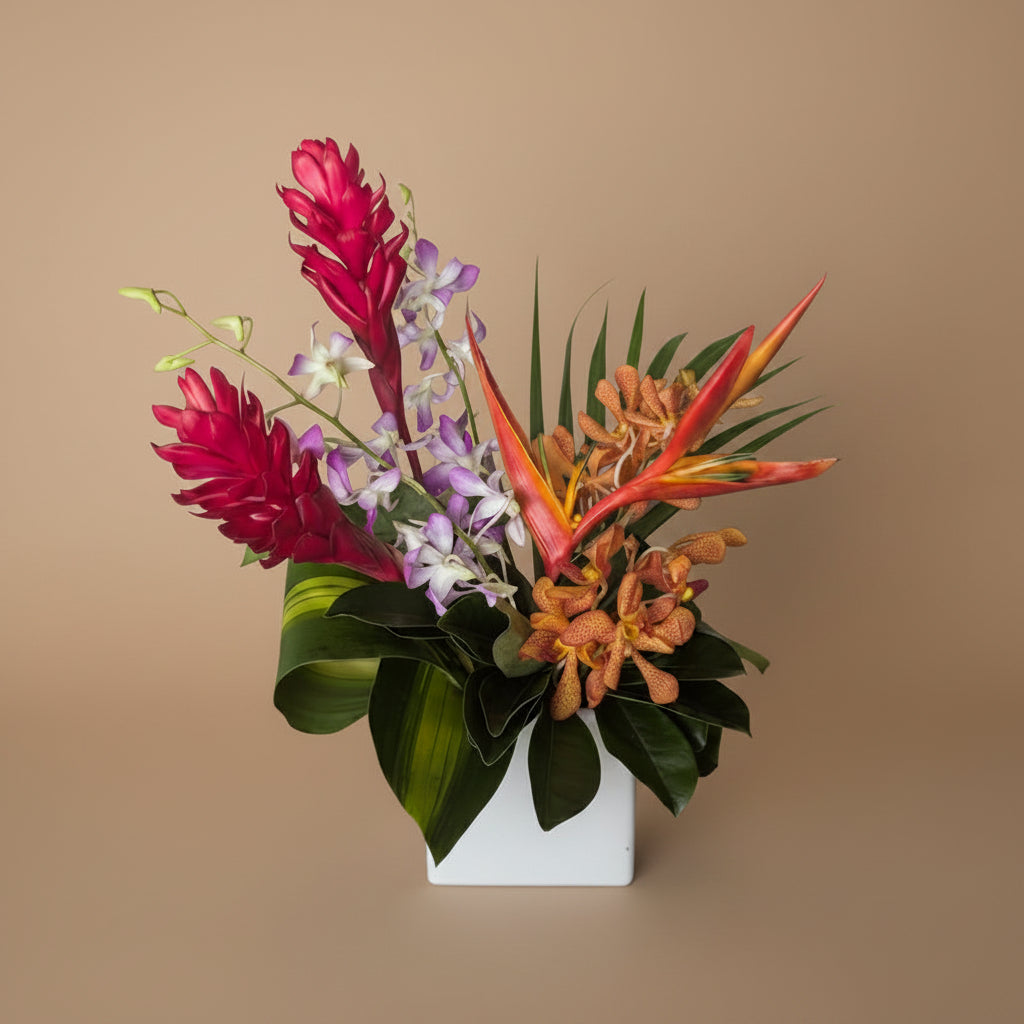 Paradise Collection - Standard
