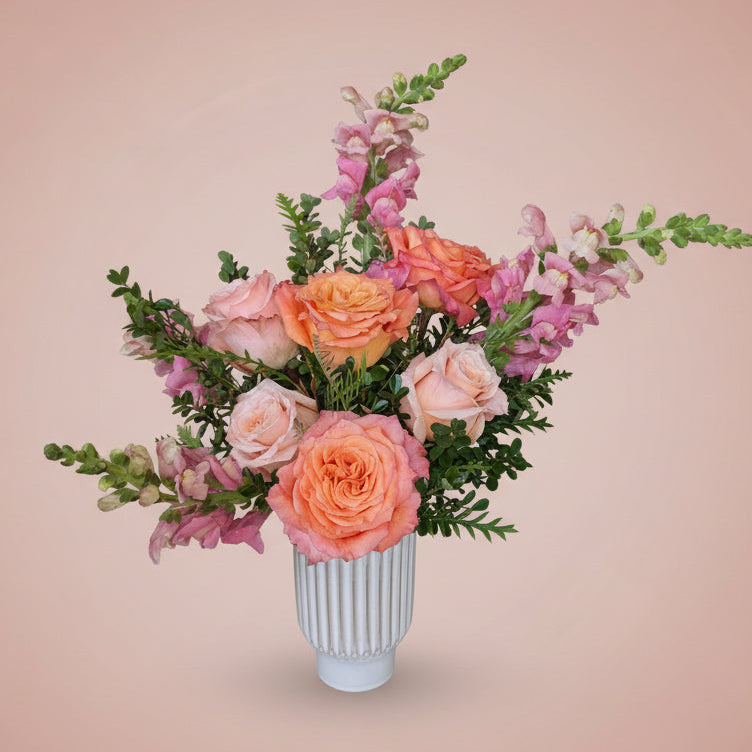 Free Spirit Collection - Small