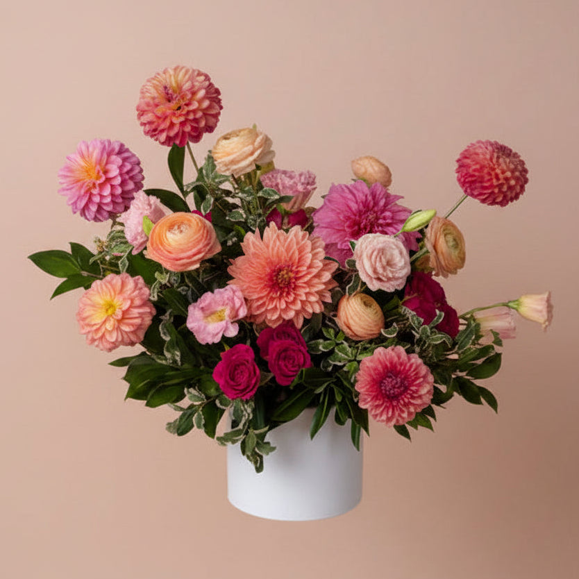 Joyful Collection - Premium