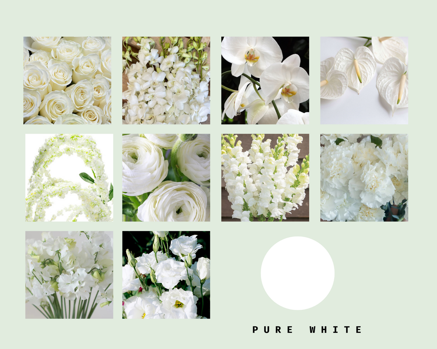 Centerpiece - Choose your color/size