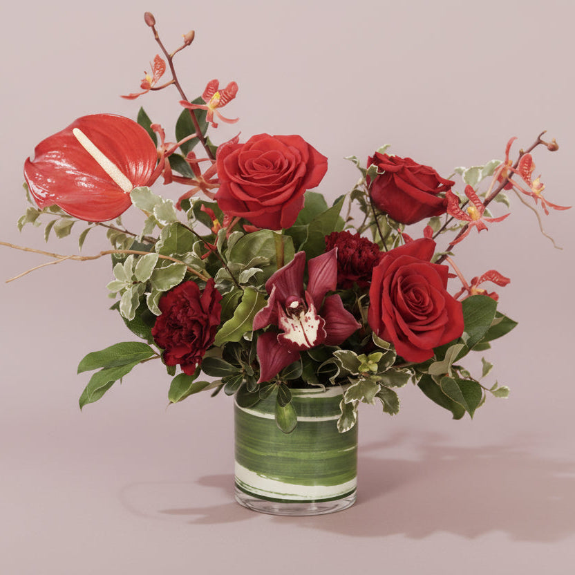 Romance Collection - Small