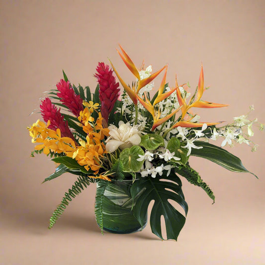 Classic Tropical - Large