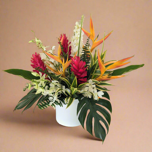 Classic Tropical Collection - Medium