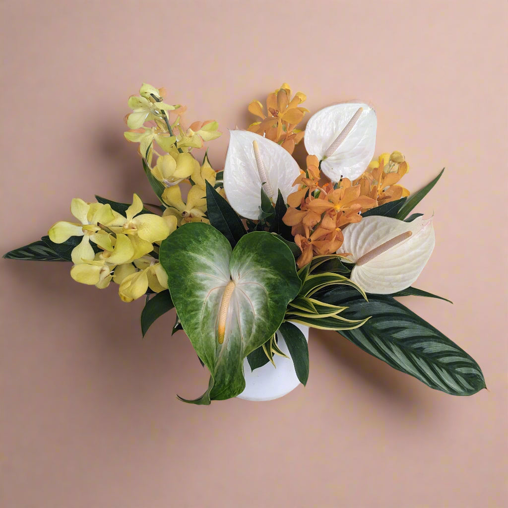 Classic Tropical - Small