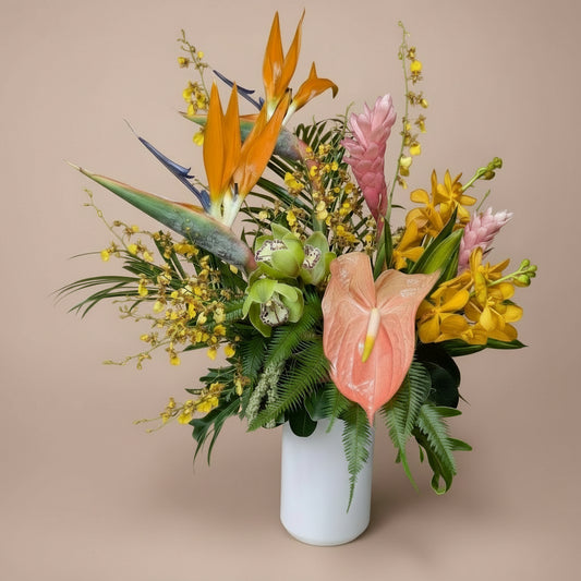 Colorful Tropical Collection - Large