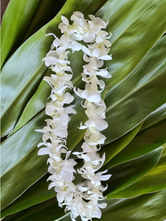 White Orchid Lei