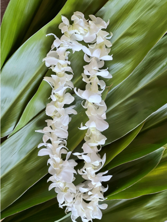 White Orchid Lei