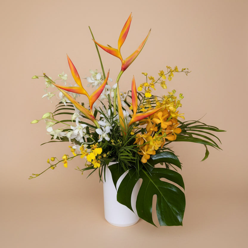 Sunny Days Collection - Deluxe