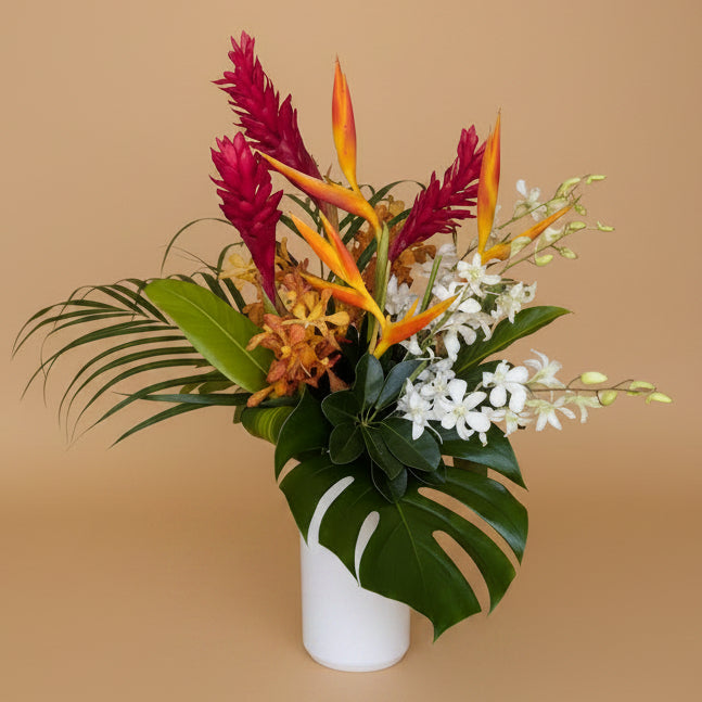 Classic Tropical Collection - Standard (Tall)
