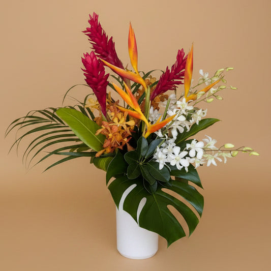 Classic Tropical Collection - Standard (Tall)