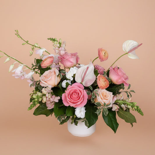 Joyful Collection - Medium