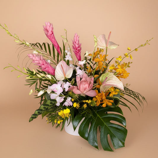 Feminine Tropical Collection - Large