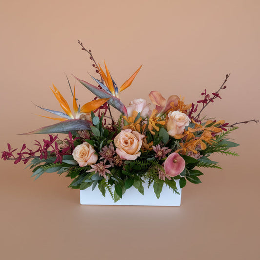 Fall Collection - Large