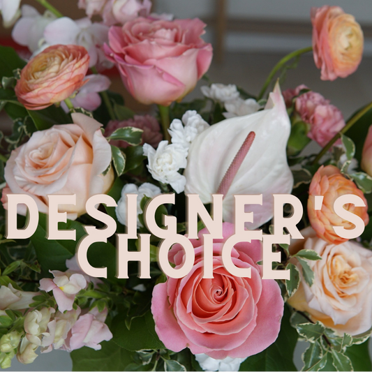 Designer's Choice - Best Value