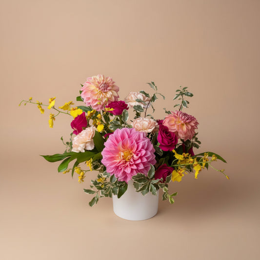 Summer Radiance Collection - Small