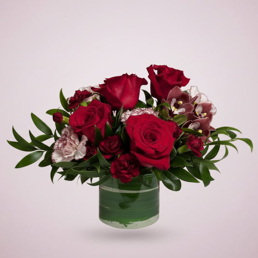 Romance Collection - Small