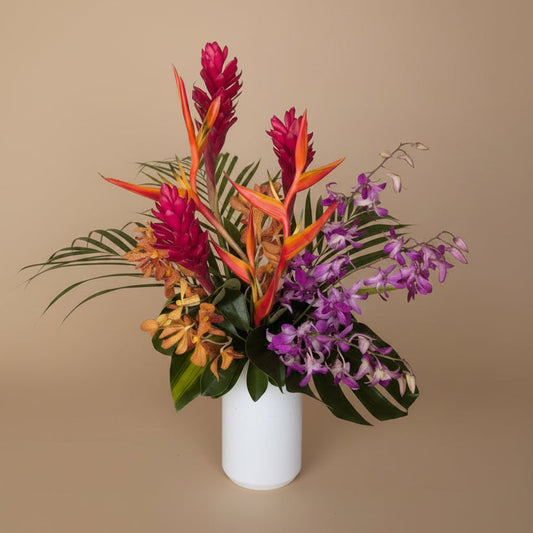 Paradise Collection - Deluxe