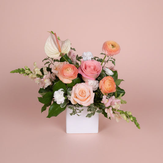 Joyful Collection - Small