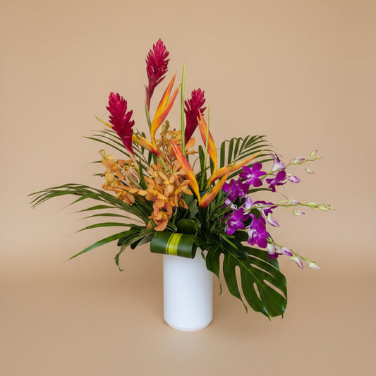 Paradise Collection - Deluxe