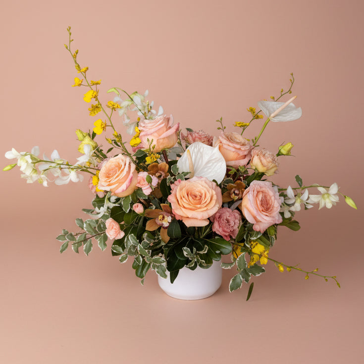 Elegance Collection - Medium