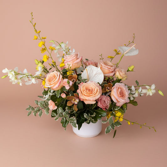 Elegance Collection - Medium