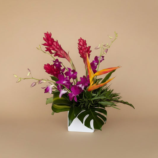Paradise Collection - Standard