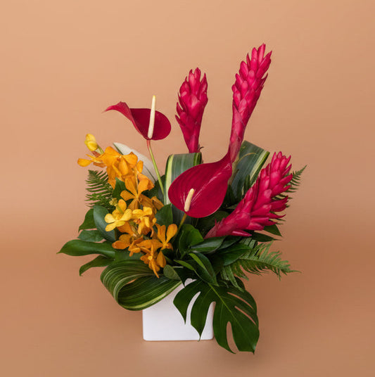 Sunset Tropical Collection - Medium