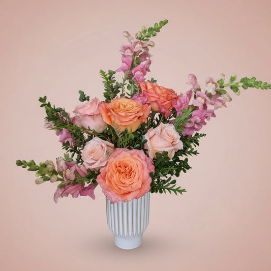 Free Spirit Collection - Small