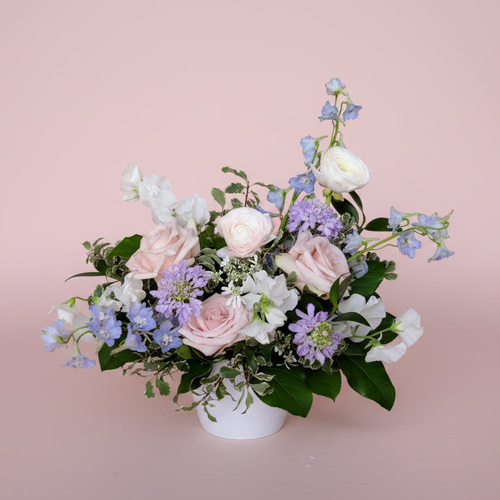 Pastel Dream Collection - Medium