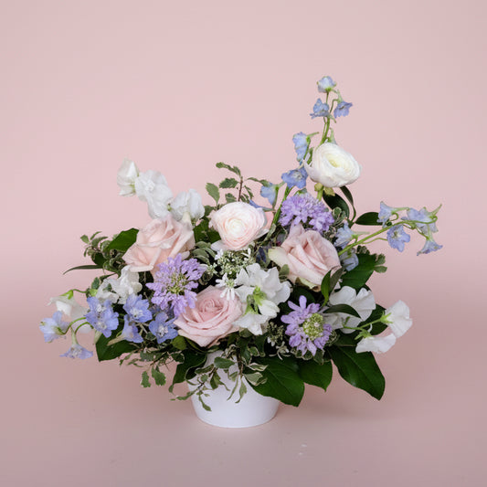 Pastel Dream Collection - Medium