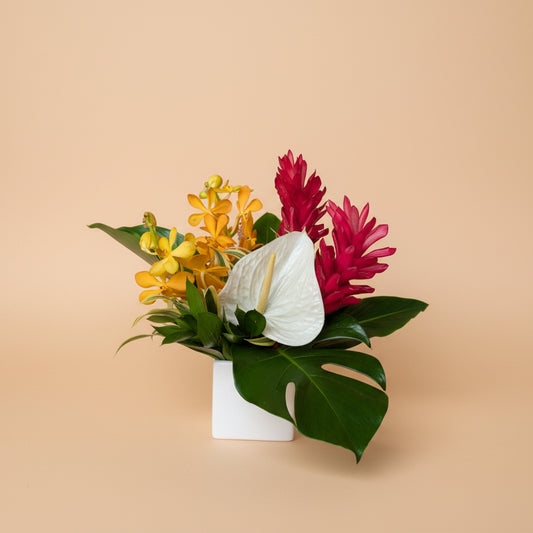 Classic Tropical Collection - Small