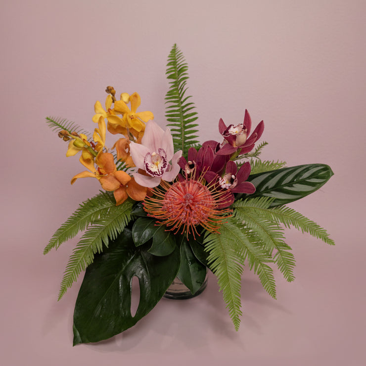 Sunset Tropical Collection - Small