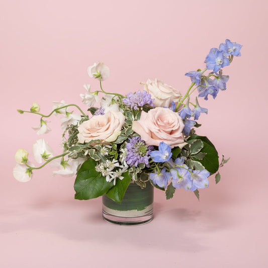 Pastel Dreams Collection - Small