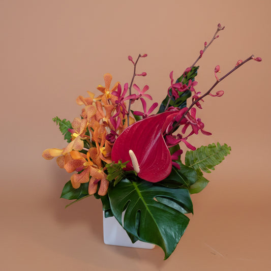 Sunset Tropical Collection  - Small