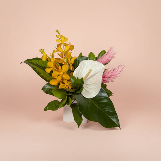 Feminine Tropical Collection - Small